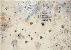 home-scroll-6