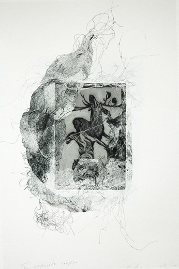 Printmaking, Nastaran Shahbazi, The Exquisite Corpse, 2013, 51444