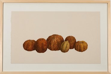 Erfan Rouhina, Untitled, 2026, 15095