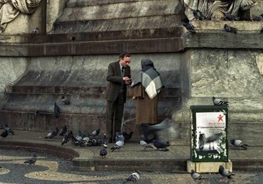 , Razi Miri, Untitled, , 75370