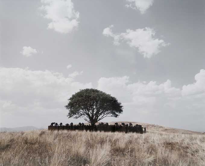 Shirin Neshat, Tooba, 2002