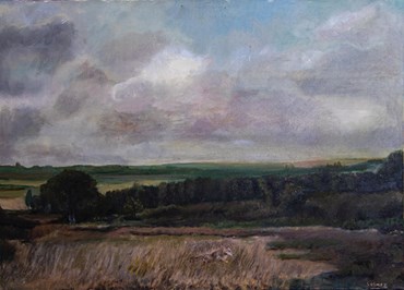 , Solmaz Daneshfaraz, Untitled, , 80768