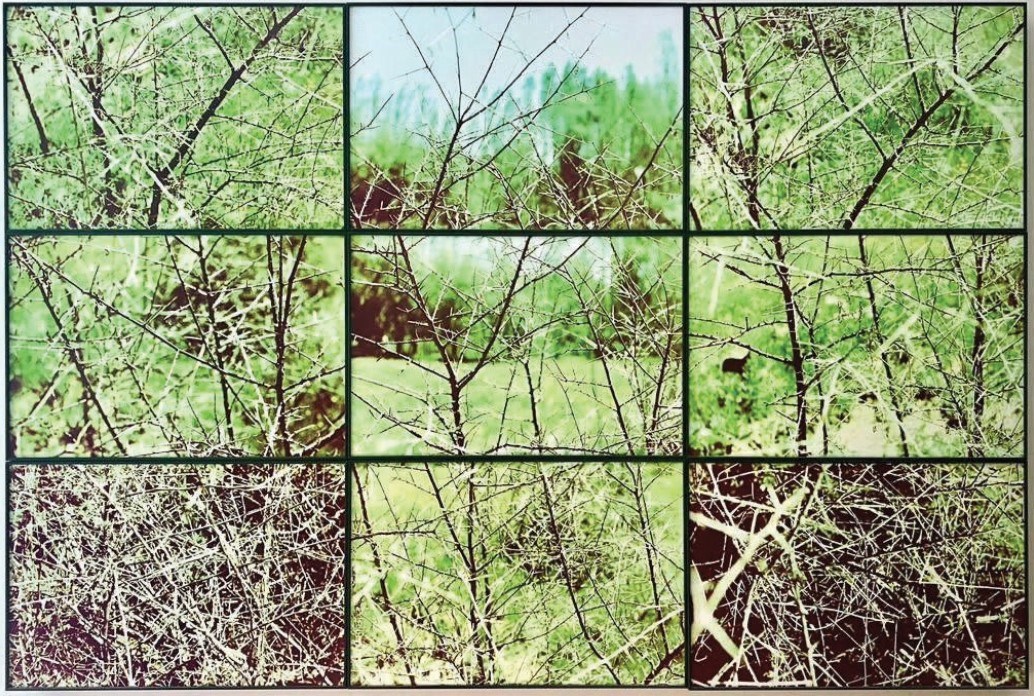 مهرداد افسری