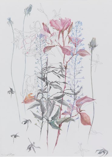 Nazila Moghadam, Untitled, 2021, 15095