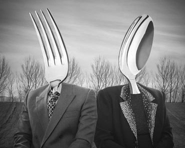 Photography, Mahdieh Afshar Bakeshloo, Mr. Fork and Mrs. Spoon, , 64500