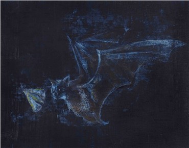 , Avish Khebrezadeh, Bat Hunting Moth , 2014, 8917