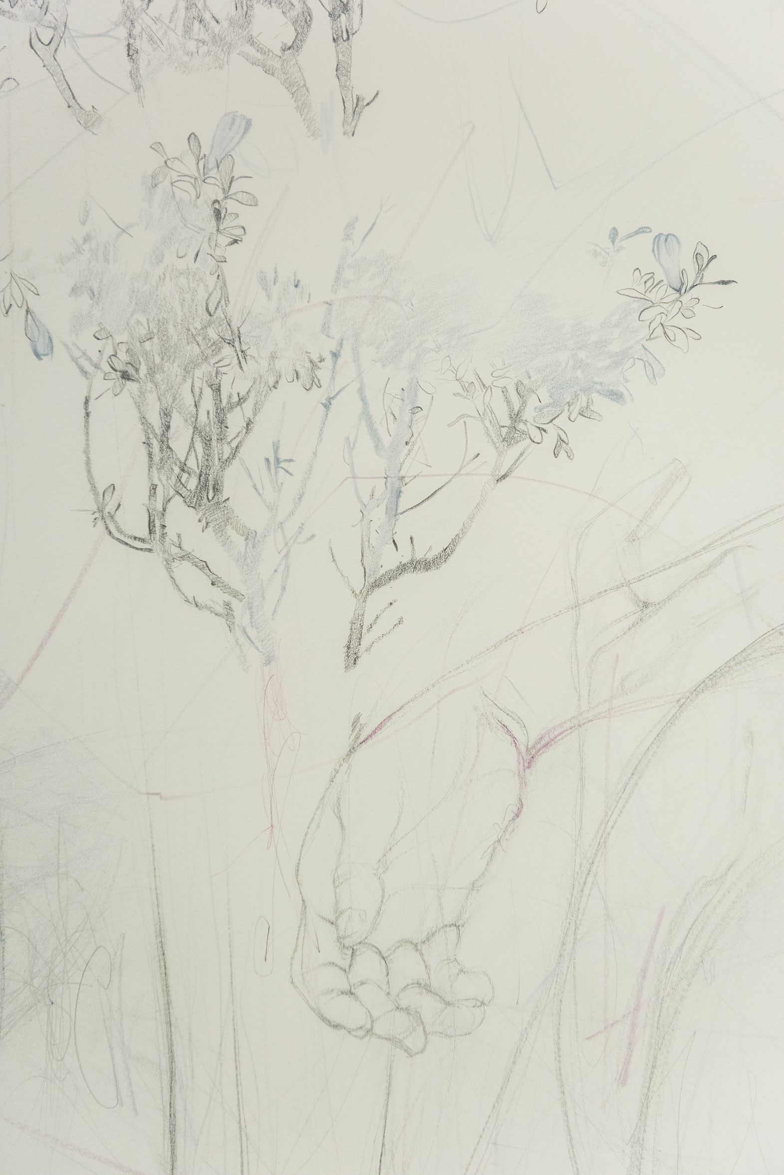 Behnaz Ghasemi, Untitled, 0