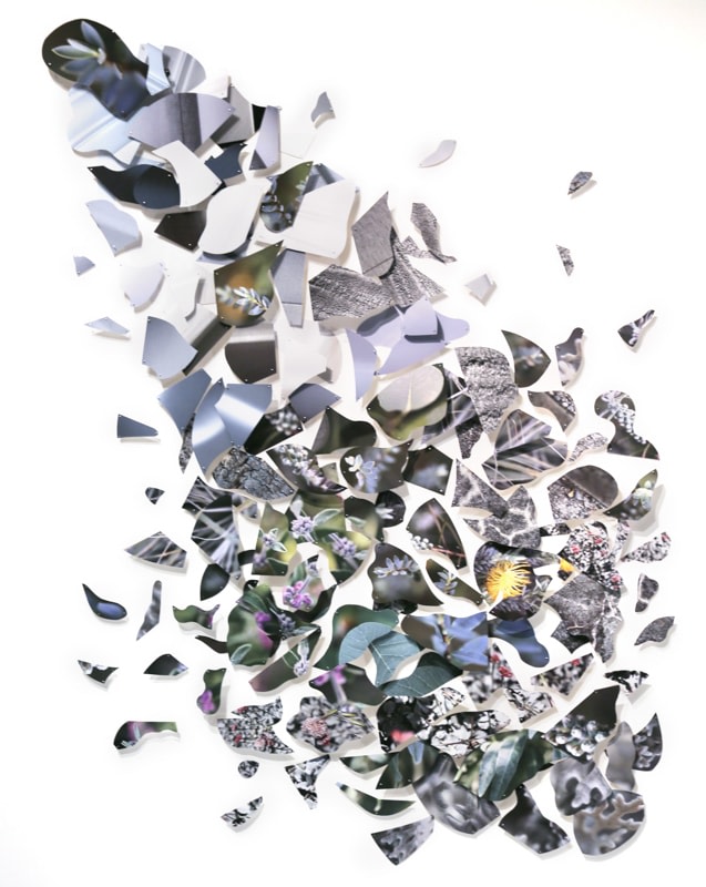 Sanaz Mazinani, Natural or Manmade, 2023