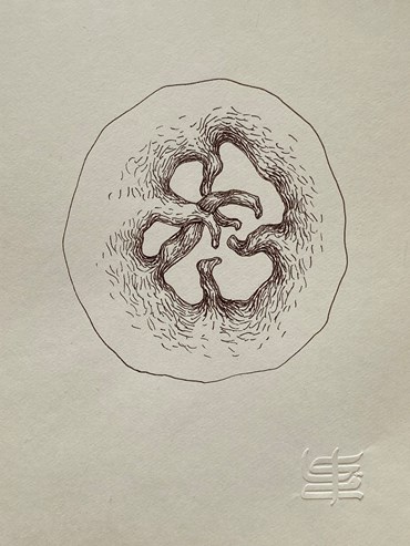 , Samaneh Eshaghi, Untitled, , 80304