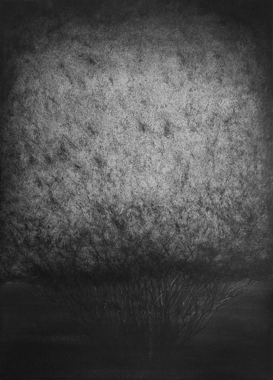 Mahsa Arabzadeh, Untitled, 2023