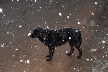 Mahtab Ghaedi, Untitled, 2025, 0