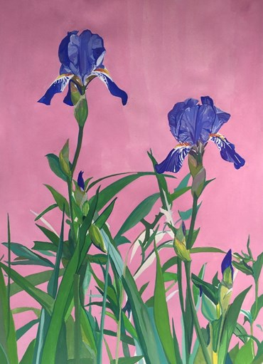 Painting, Mozhan Yaghoubi, Blue Pink Baby Iriss, 2021, 63909