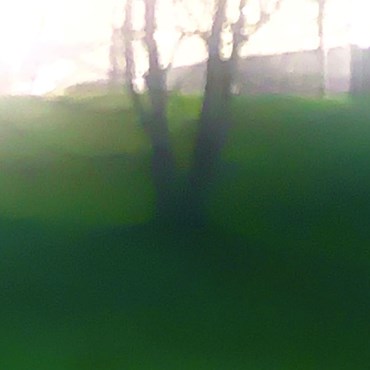 Photography, Kimia Askarian, 12 November 2019, 2023, 76086