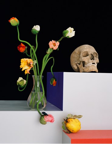Shirana Shahbazi, Still Life, 2009, 0