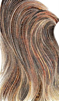 Nasrollah Afjei, Torreh (Ringlet), 2011