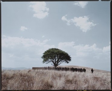 Photography, Shirin Neshat, Untitled, 2002, 5908