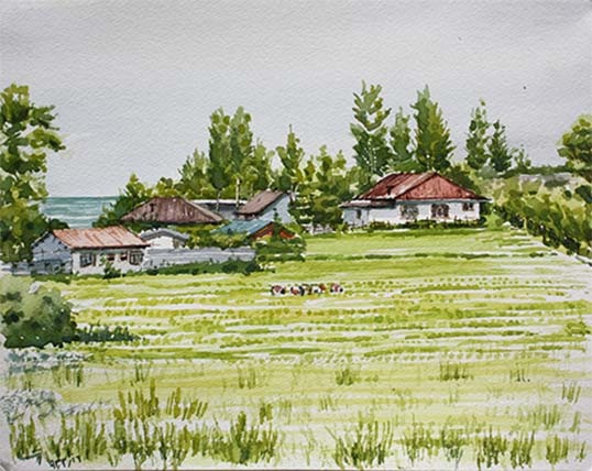 Saeid SaadatNia, Untitled, 0