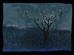 home-scroll-6