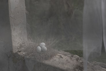 Sara Sasani, Untitled, 0, 0