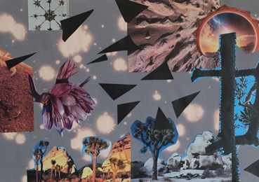 Tina Ebtehaj, Untitled, 2024, 0