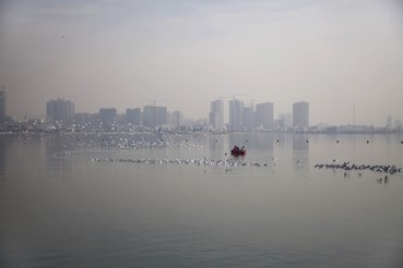 Photography, Hoda Amin, Untitled, , 76489