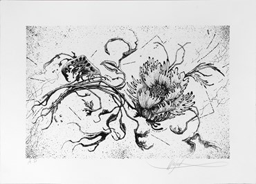 Print and Multiples, Wahed Khakdan, Untitled, 2019, 72425