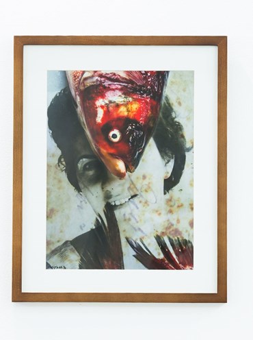 , Nazli Abbasi, Untitled, , 83328