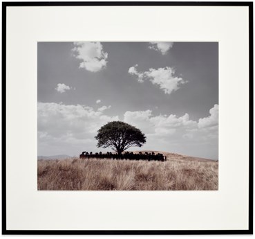 Photography, Shirin Neshat, Untitled (Tooba), 2002, 80658