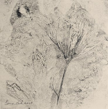 , Sima Bagherzadeh, Untitled, 2024, 78962