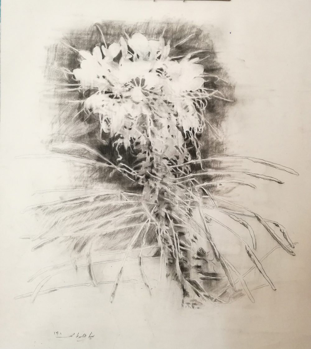 Mina Ghaziani, Untitled, 2022