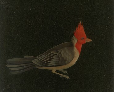 Painting, Nazi Azimi, Red Crested Cardinal, 2021, 68576