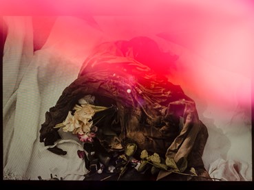 Photography, Ghazaleh Rezaei, Untitled, , 80254