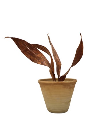 Sculpture, Farnaz Rabieijah, Untitled, 2018, 79504