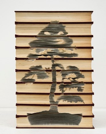 , Kylie Stillman, Mountain Pine, 2023, 73721