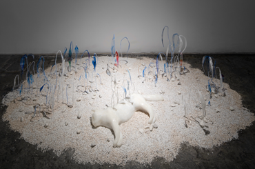 Installation, Rana Heidarzade, Simba You Become the Most Beautiful Flower, 2025, 83134