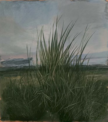 , Mohadese Eivazkhani, Untitled, , 83867