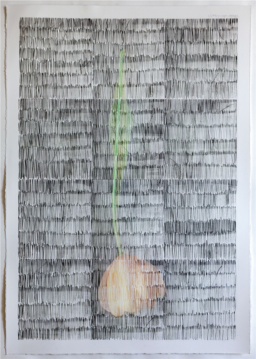 Sasan Abri, Untitled, 2020