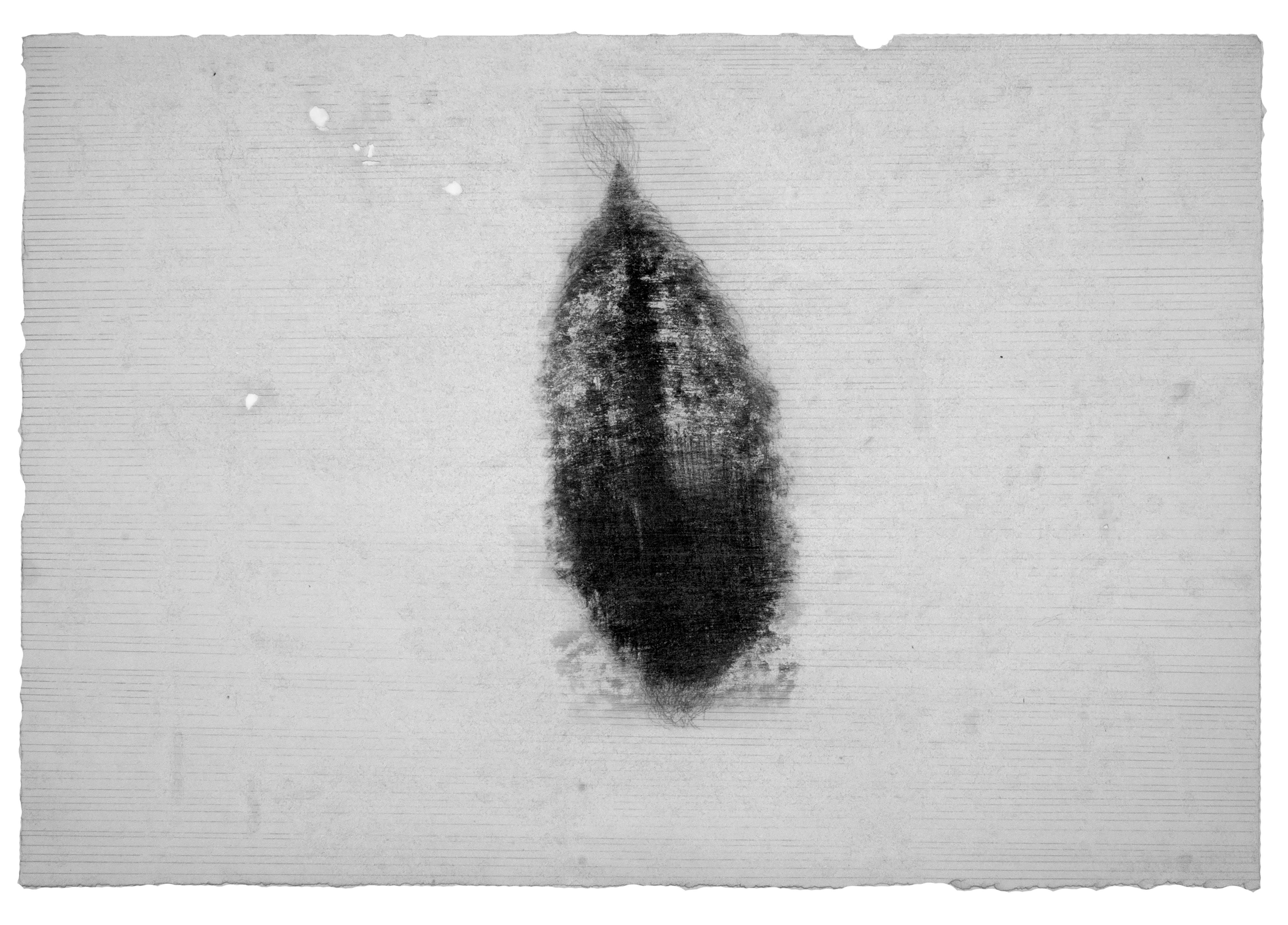 Ashkan Sanei, Untitled, 2015