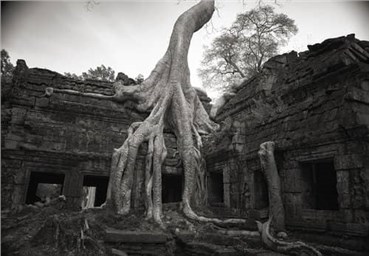 Kenro Izu, Untitled, 0, 0