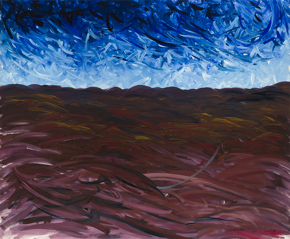 Alireza Masoumi, Camouflage, 2016