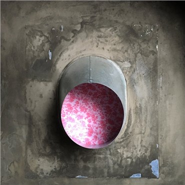 Painting, Kaveh Irani, Peephole Pink, 2017, 40108