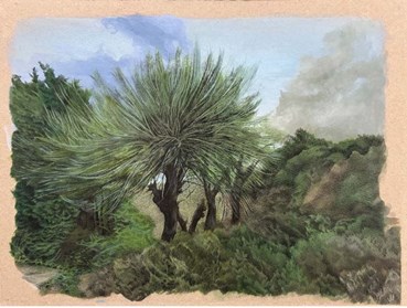 , Sajede Hosseini, Untitled, 2025, 78978