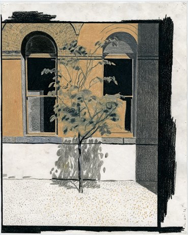 Drawing, Morteza Khakshoor, Lonely Tree at The Back of Hopkins Hall, 2016, 40438