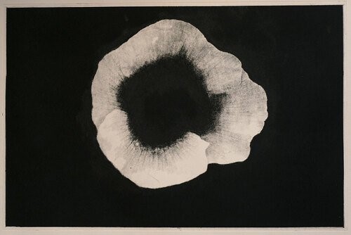 Shahin Esfandiari, Untitled, 2025