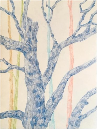 Drawing, Neda Zarfsaz, Branches of Leaves , 2020, 25519