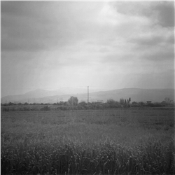 home-scroll-5