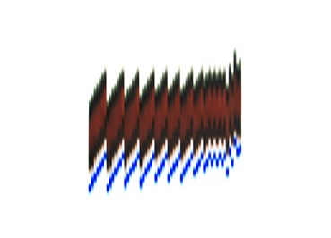 Niusha Baraei, Untitled, 0, 0