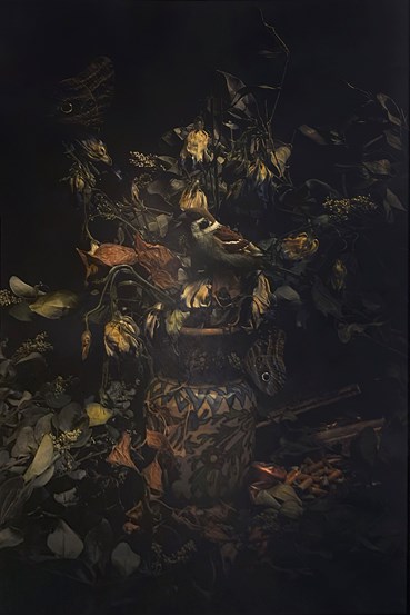 Omid Shalmani, Untitled, 0, 0