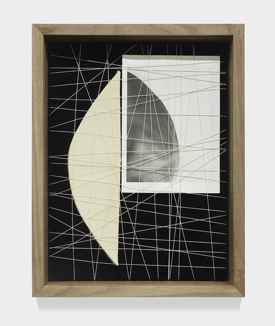 Sheree Hovsepian, Tended, 2020