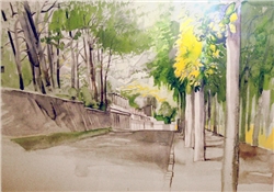 home-scroll-8